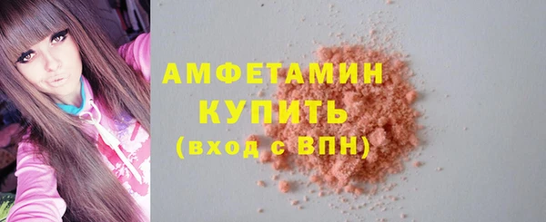 дмт Пересвет