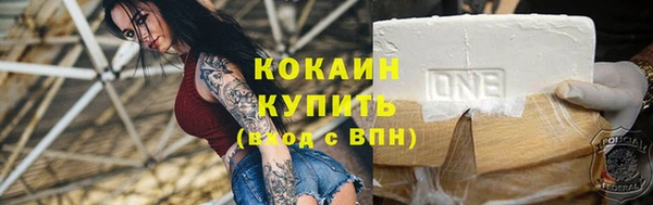 дмт Пересвет