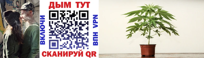 Бошки марихуана Ganja  магазин продажи   Беломорск 